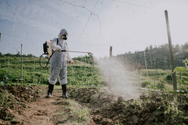 Best Best Pest Control Companies  in Au Sable, MI