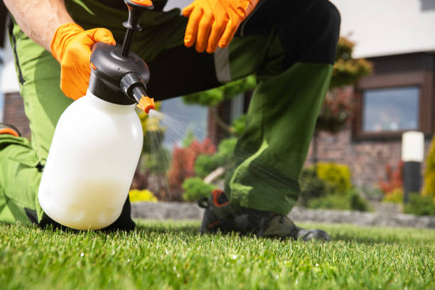 Best Cockroach Control Services  in Au Sable, MI